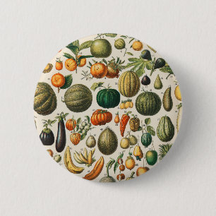 Bóton Redondo 5.08cm Ilustração Científica Botânica Vegetal fruta