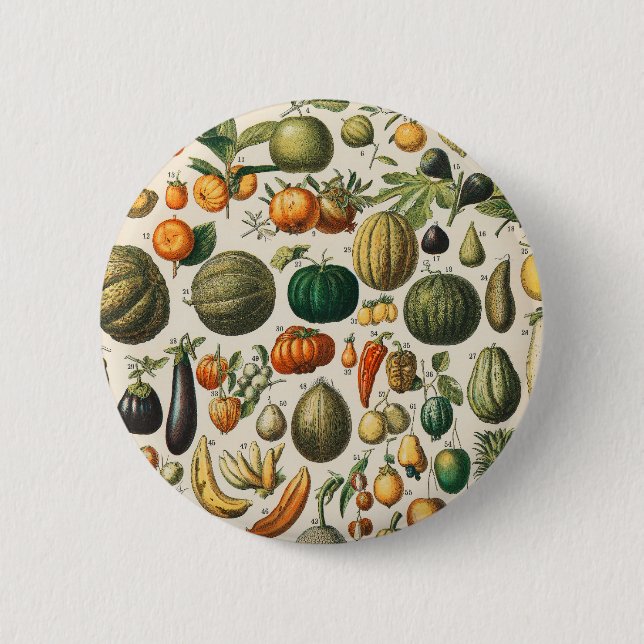 Bóton Redondo 5.08cm Ilustração Científica Botânica Vegetal fruta (Frente)