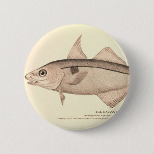 Bóton Redondo 5.08cm Ilustração do vintage da arinca