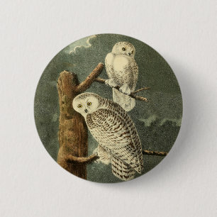 Bóton Redondo 5.08cm Ilustração Vintage de Snowy Owl John James Audub