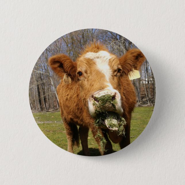 Bóton Redondo 5.08cm Imagem 001 (Frente)