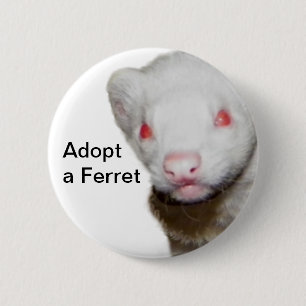 Bóton Redondo 5.08cm Imagem de Albino Ferret