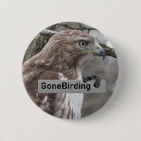 Íman Hawk Birding de cauda vermelha