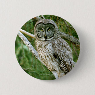 BÓTON REDONDO 5.08CM IMG_0297_2