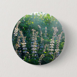 BÓTON REDONDO 5.08CM IMG_3703