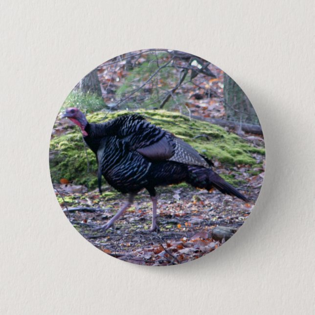 Bóton Redondo 5.08cm IMG_6278_edited (Frente)