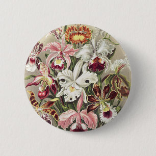 Bóton Redondo 5.08cm Impressão Botânica Vintage de Orquídea de Ernst Ha