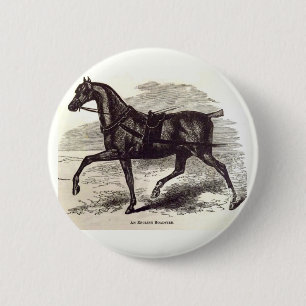 Bóton Redondo 5.08cm impressão do século 19 Um cavalo de galeria inglês