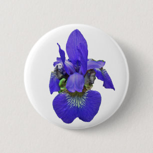 Bóton Redondo 5.08cm Itens de Coordenação Iris Siberianos