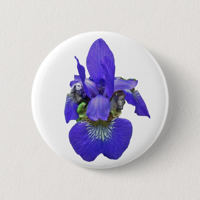 Bóton Redondo 5.08cm Itens de Coordenação Iris Siberianos (Frente)