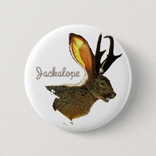 Bóton Redondo 5.08cm Jackalope