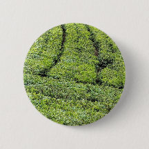 jardins de chá de Munnar em