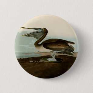 Bóton Redondo 5.08cm John James Audubon Brown Pelican Trabalho de arte