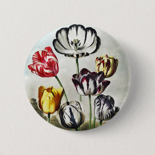 Bóton Redondo 5.08cm John Thornton Tulips do Templo da Flora
