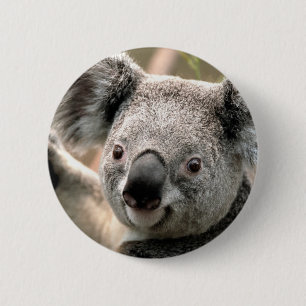 Bóton Redondo 5.08cm Koala