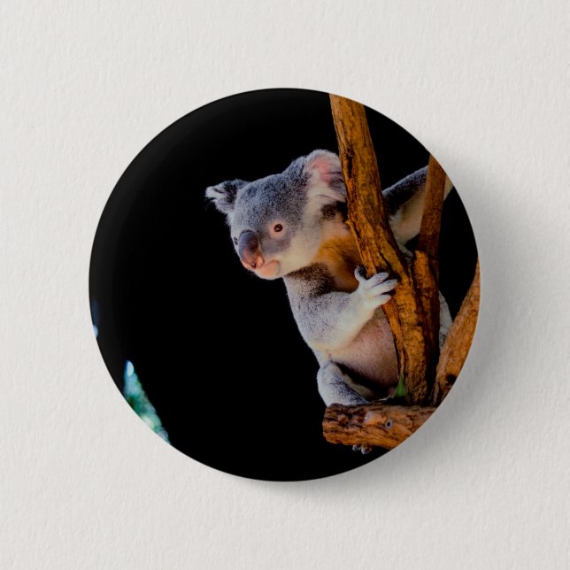 Bóton Redondo 5.08cm Koala Cute na Cinza (Frente)