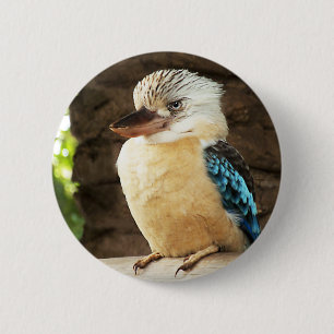 Bóton Redondo 5.08cm Kookaburra