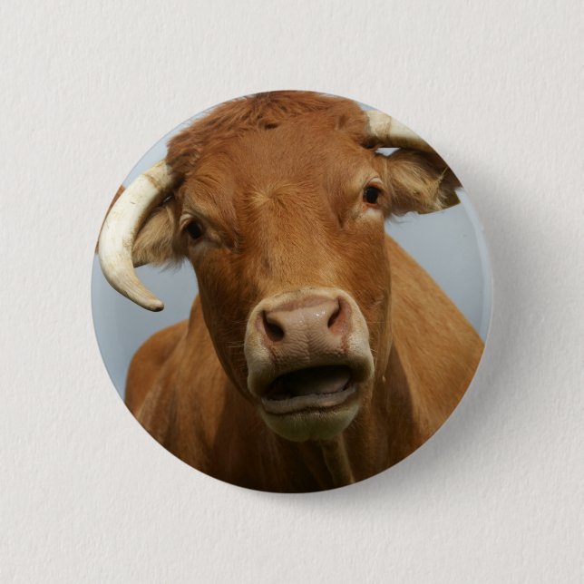 Bóton Redondo 5.08cm kuh imbecil (Frente)