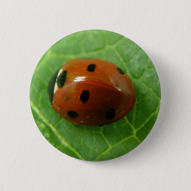 Bóton Redondo 5.08cm Ladybug Button (Frente)