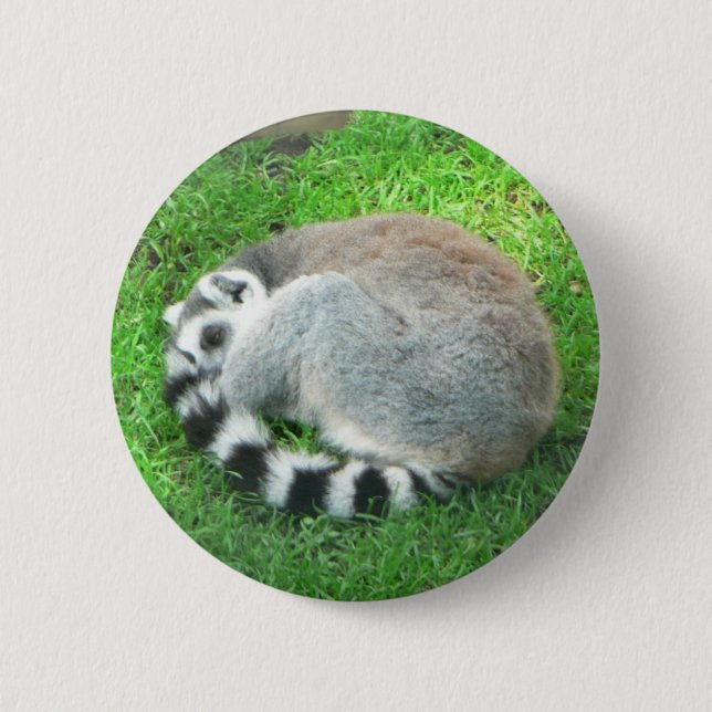 Bóton Redondo 5.08cm Lemur do sono na grama (Frente)