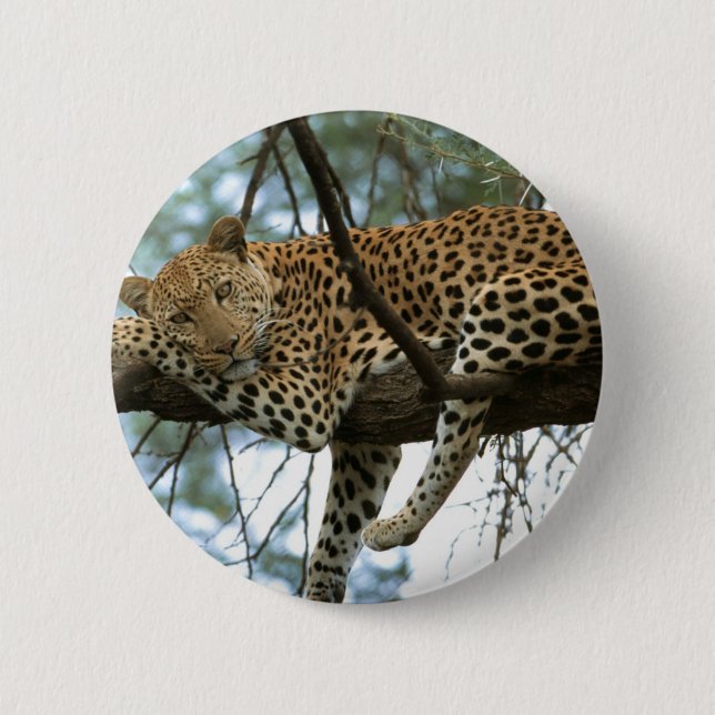 Bóton Redondo 5.08cm Leopardo descendo em árvore (Frente)