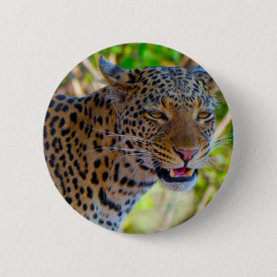 Bóton Redondo 5.08cm Leopardo Manchado