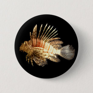 Bóton Redondo 5.08cm Lionfish
