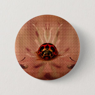 Bóton Redondo 5.08cm LittleLadyBug