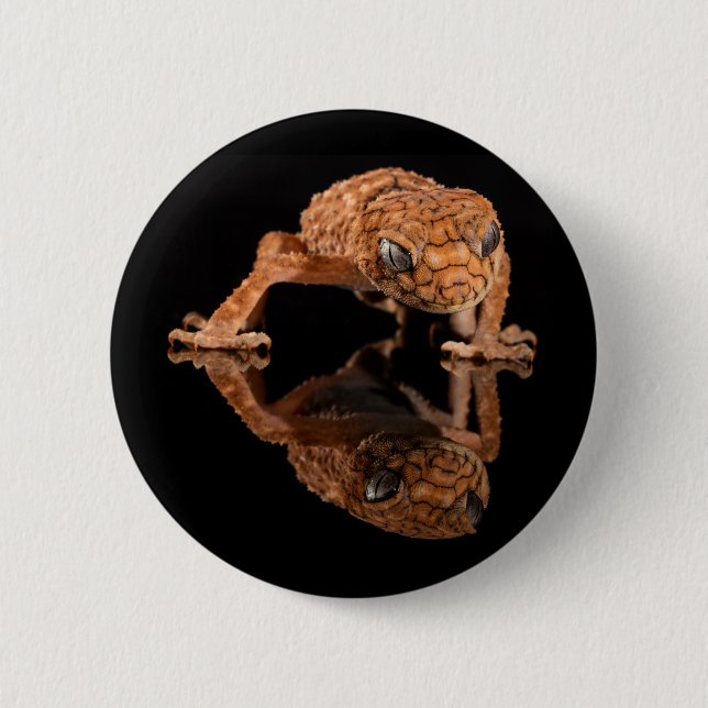 Bóton Redondo 5.08cm Lizard Pequeno Cute com Reflexão (Frente)