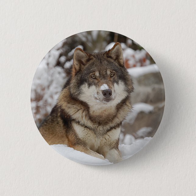 Bóton Redondo 5.08cm Lobo de inverno (Frente)
