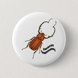 Bóton Redondo 5.08cm Longimanis de Euchirus