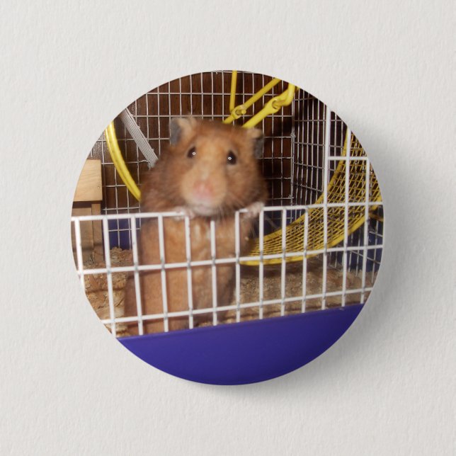 Bóton Redondo 5.08cm lookin do whatca em (Frente)