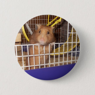 Bóton Redondo 5.08cm lookin do whatca em