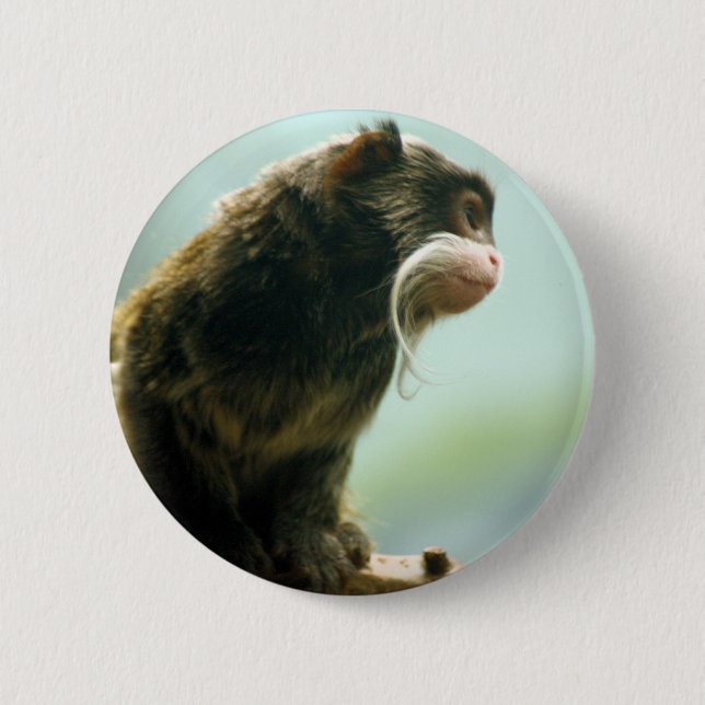 Bóton Redondo 5.08cm Macaco do Tamarin (Frente)