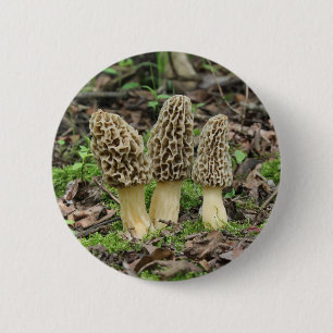 Bóton Redondo 5.08cm Mais Morels