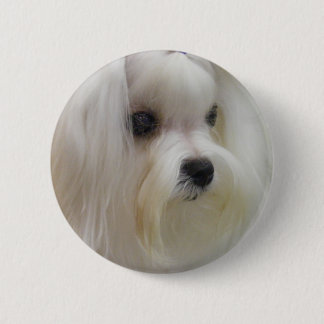Bóton Redondo 5.08cm Maltês branco