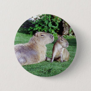 Bóton Redondo 5.08cm Mamã do Capybara e botão do filho
