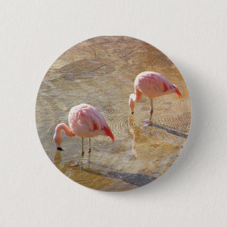 Bóton Redondo 5.08cm Manhã do flamingo