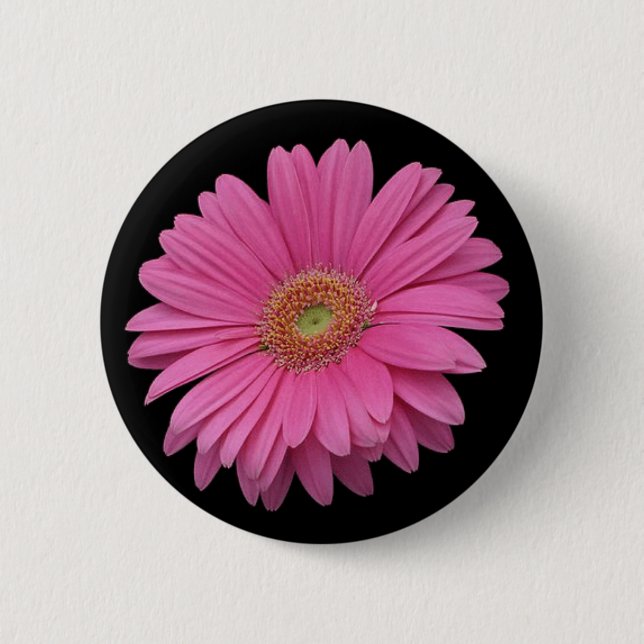 Bóton Redondo 5.08cm Margarida cor-de-rosa do Gerbera (Frente)
