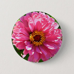 Bóton Redondo 5.08cm Margarida cor-de-rosa floral retrógrada elegante