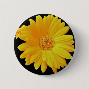 Bóton Redondo 5.08cm Margarida do Gerbera (hybrida) do Gerbera -