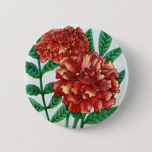 Bóton Redondo 5.08cm Marigolds africanos