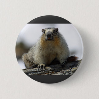 Bóton Redondo 5.08cm Marmota inchada amarelo