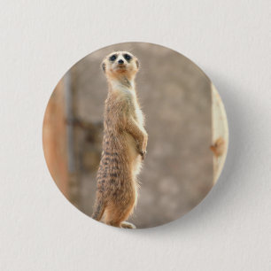 Bóton Redondo 5.08cm Meerkat no botão da atenção