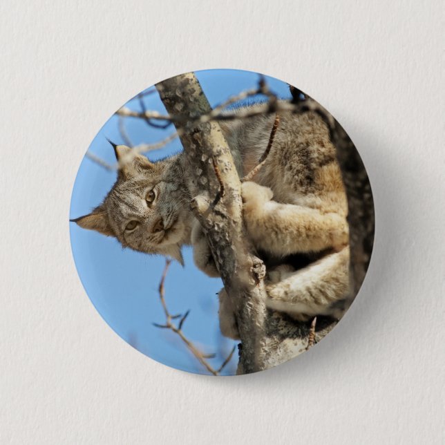 Bóton Redondo 5.08cm Mischievous Lynx (Frente)
