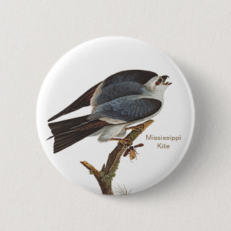 Bóton Redondo 5.08cm Mississípi, Pássaro Birder de John James Audubon