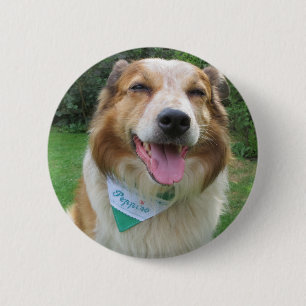 Bóton Redondo 5.08cm mistura de collie de borda