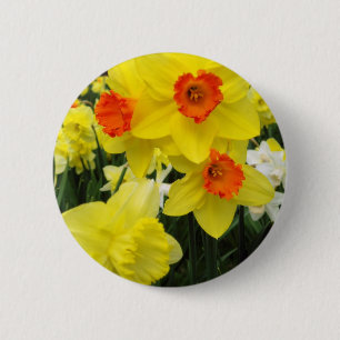 Bóton Redondo 5.08cm Mistura do Daffodil simples