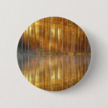 Misty Forest Scene