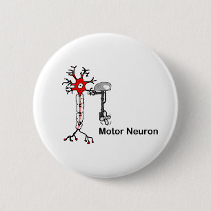 Bóton Redondo 5.08cm Motor Neuron